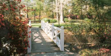 Downtown Summerville Park