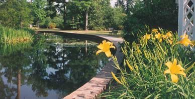 Summerville Azalea Park